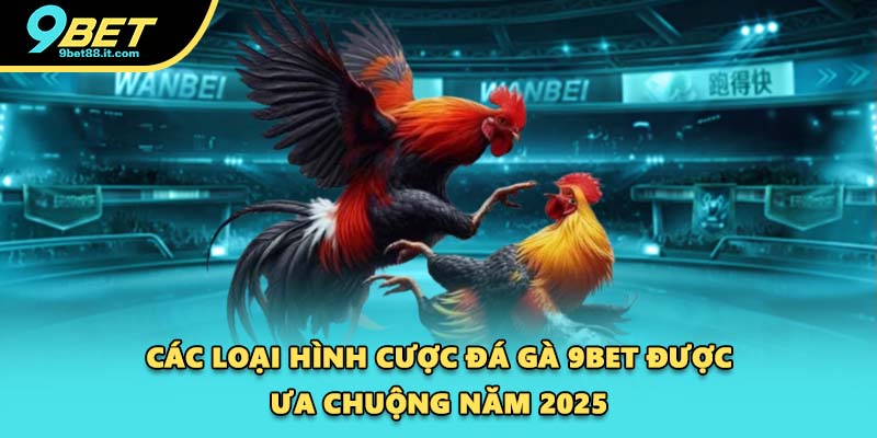 Các loại hình cược đá gà 9BET được ưa chuộng năm 2025