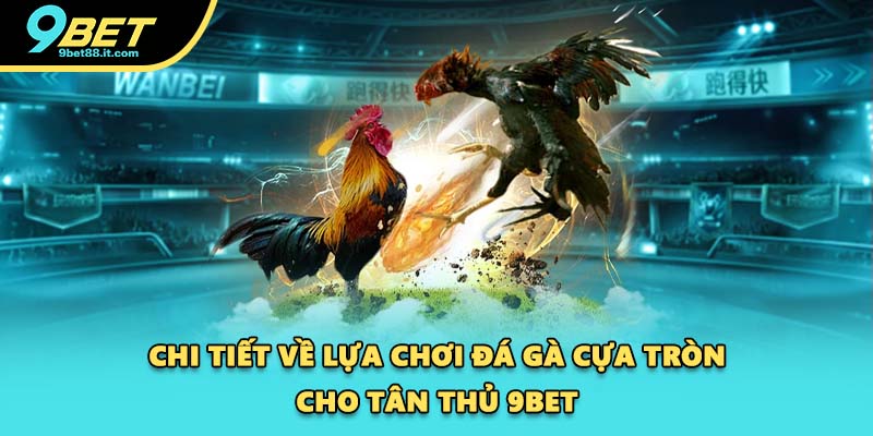 Chi tiết về lựa chơi đá gà cựa tròn cho tân thủ 9BET