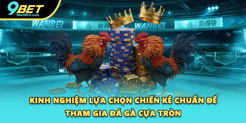 Kinh nghiệm lựa chọn chiến kê chuẩn để tham gia đá gà cựa tròn
