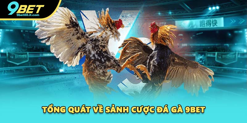 Tổng quát về sảnh cược đá gà 9BET